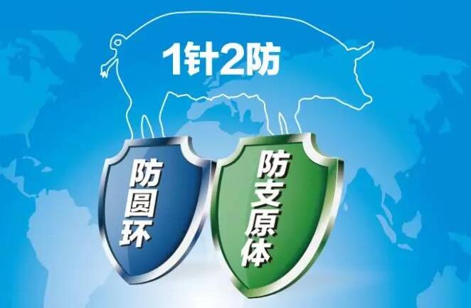 新产品！惠中生物喜获猪圆支二联灭活疫苗新兽药证书