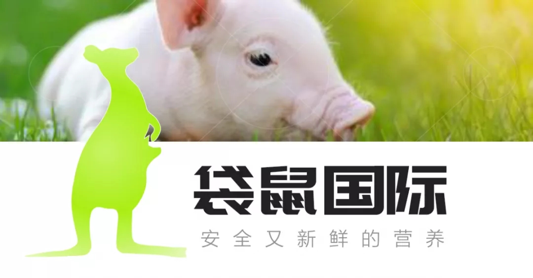 爱猪精选 | 新鲜营养、免疫健康——袋鼠国际广东行