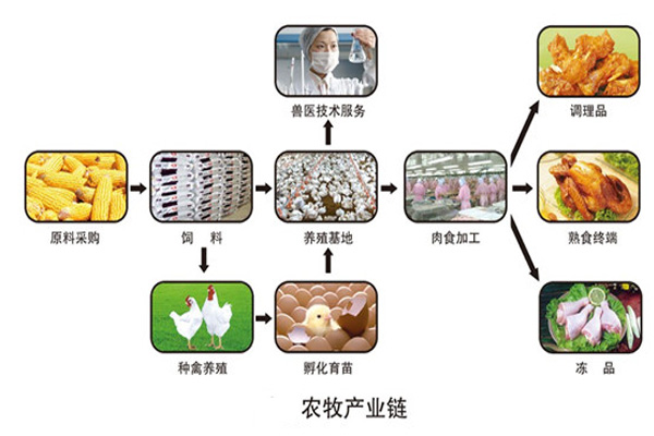 产业链需要关注深度非长度