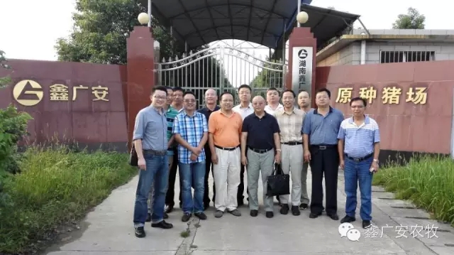 鑫广安农牧与天邦公司种猪体系建设研讨会