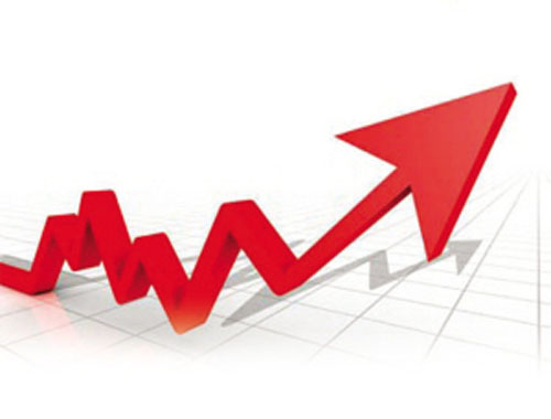 金新农：2015年实现净利润1.03亿  同比增长69.92%