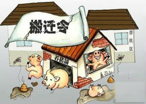 湖南娄星区全面启动禁养区生猪退养工作