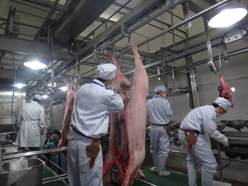 海南：推进生猪屠宰场改造升级