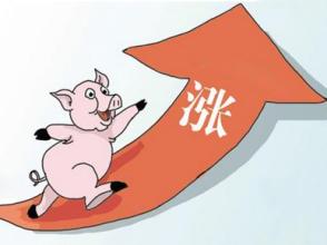 辽宁沈阳：猪价同比涨幅超过六成