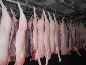 四川：猪价均在29.48元/斤 同比上涨35.67%
