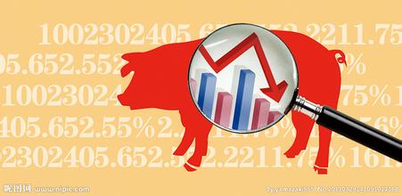 湖南长沙：遇到“金猪年”猪肉价格比去年同期涨了44.42%