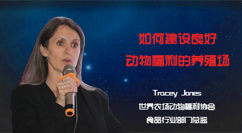 如何建设良好动物福利的养殖场