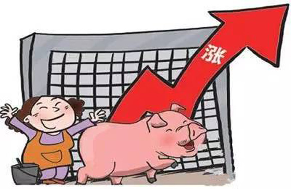 猪价全面飘红，暴涨模式开启？