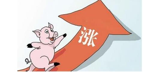 中国证劵报：5-8月猪价有望迎来较为明显反弹