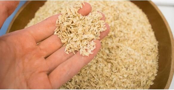 米糠如何在无抗养殖中发挥作用？