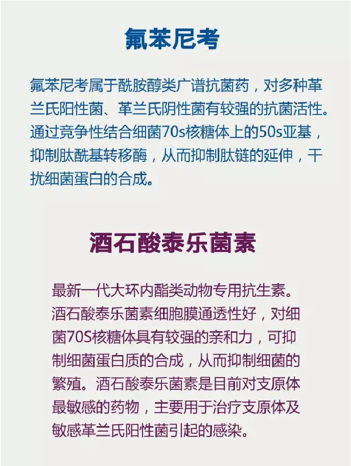 图片21.png