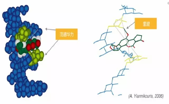 净霉宝—强效吸附脱毒 酶解 解毒 抑霉 功能调节