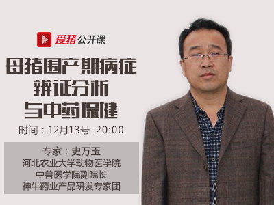 【公开课054期】史万玉:母猪围产期的中药保健如何落实?