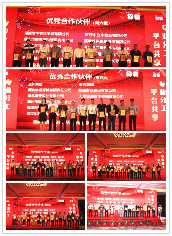 未命名_副本.png