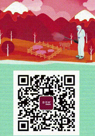 8.png
