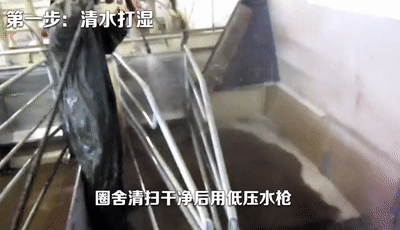 3.gif