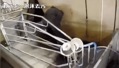 4.gif