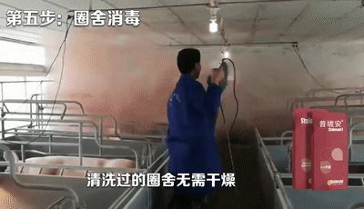 6.gif